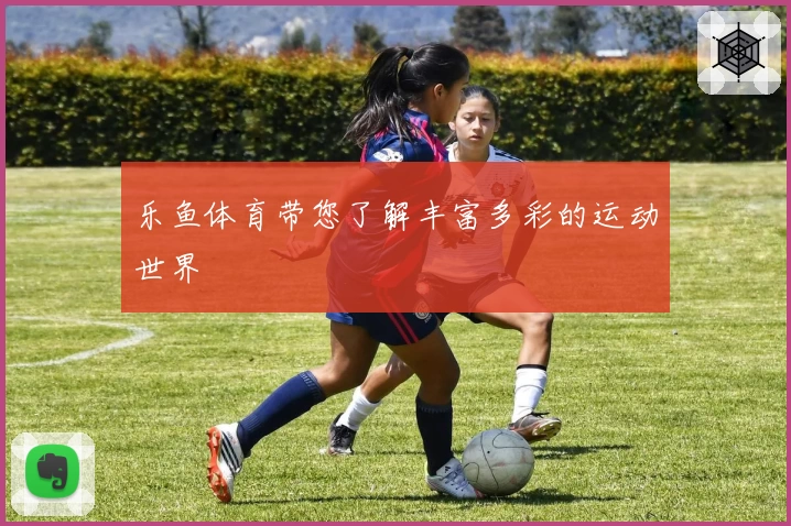 乐鱼体育带您了解丰富多彩的运动世界