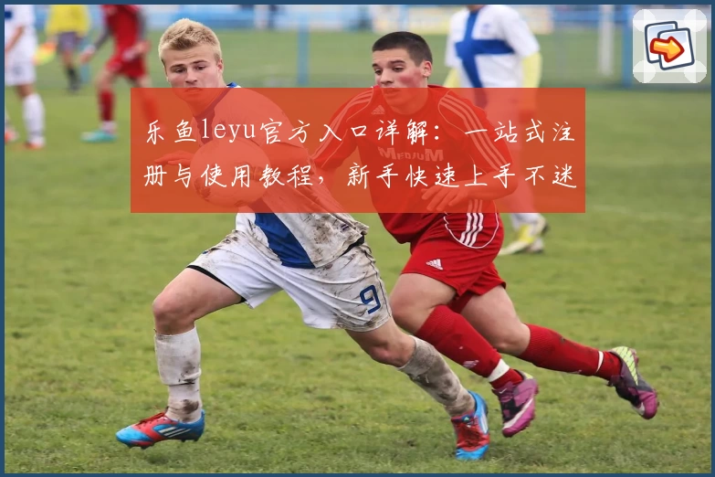 乐鱼leyu官方入口详解：一站式注册与使用教程，新手快速上手不迷路