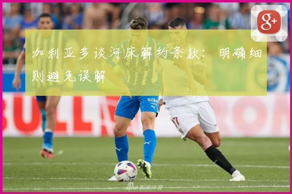 加利亚多谈河床解约条款:明确细则避免误解