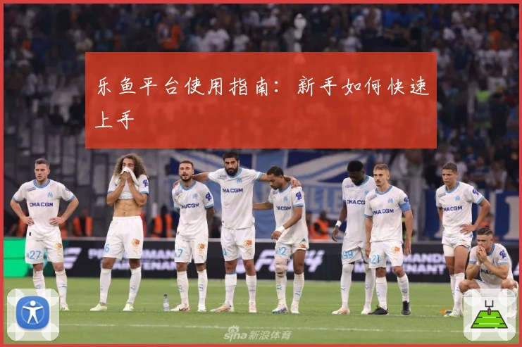 乐鱼平台使用指南：新手如何快速上手